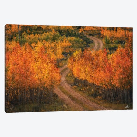 Fire Road Canvas Print #PCS48} by Peter Coskun Canvas Wall Art