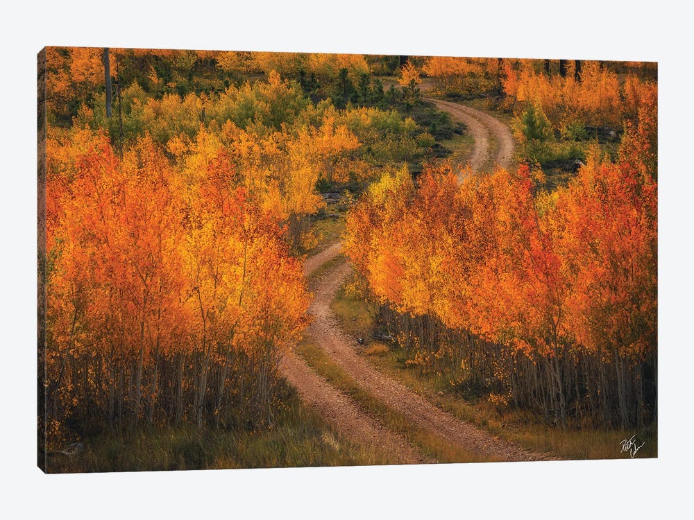 Fire Road by Peter Coskun 1-piece Canvas Art Print