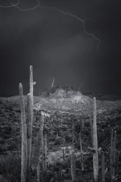 Fire Starters by Peter Coskun art print