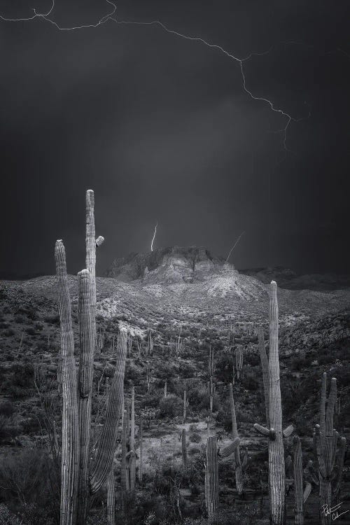 Fire Starters by Peter Coskun wall art