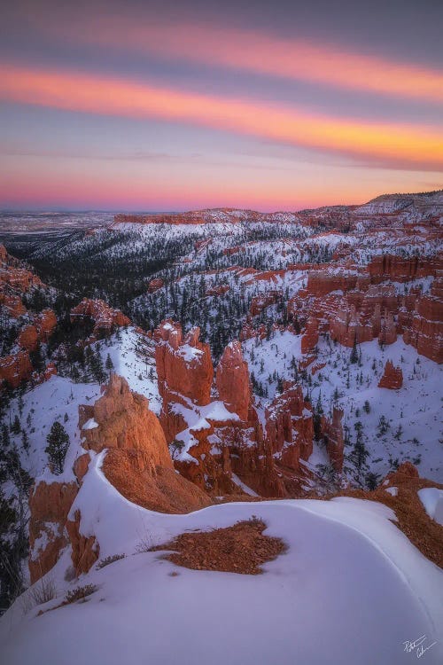 Ice Cream Desert by Peter Coskun wall art