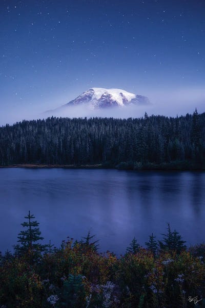 Twinkle by Peter Coskun canvas print