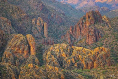 First Water Colors by Peter Coskun art print