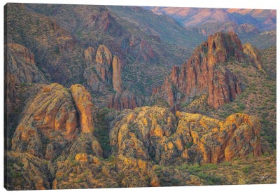 First Water Colors Canvas Art Print - Peter Coskun