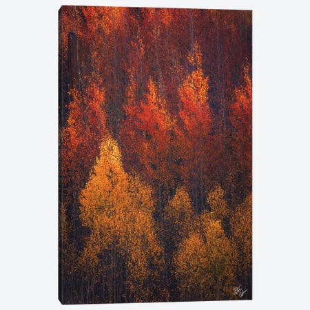 Flames Of Autumn Canvas Print #PCS52} by Peter Coskun Canvas Art Print