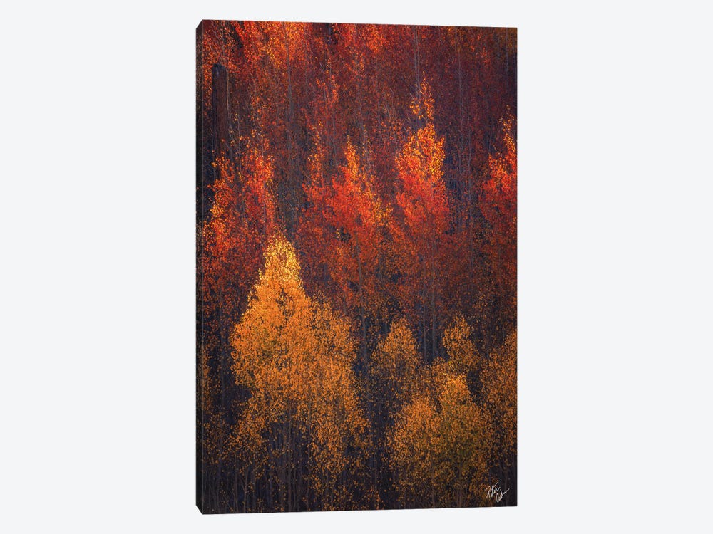 Flames Of Autumn by Peter Coskun 1-piece Canvas Wall Art