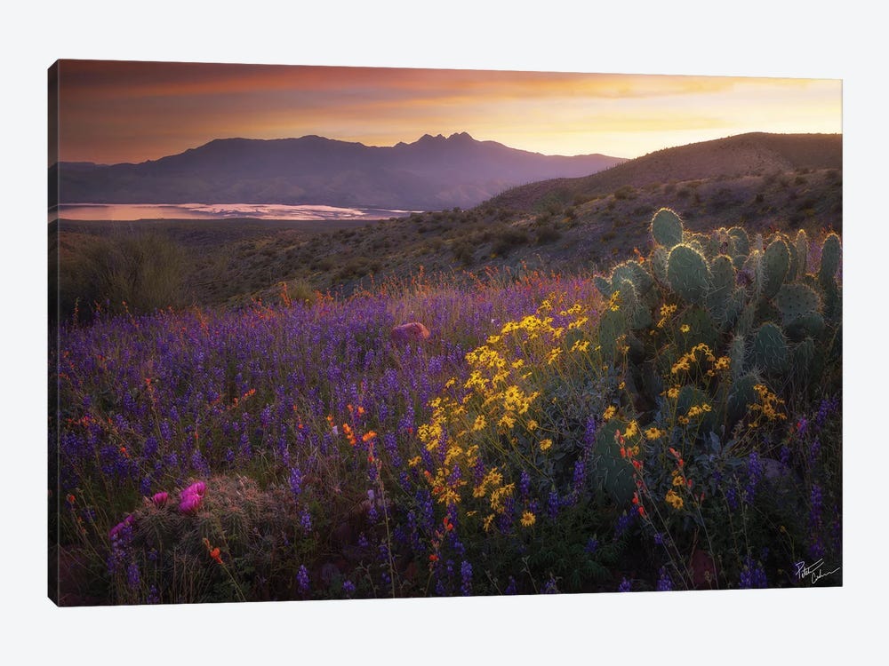 Four Flowers by Peter Coskun 1-piece Art Print