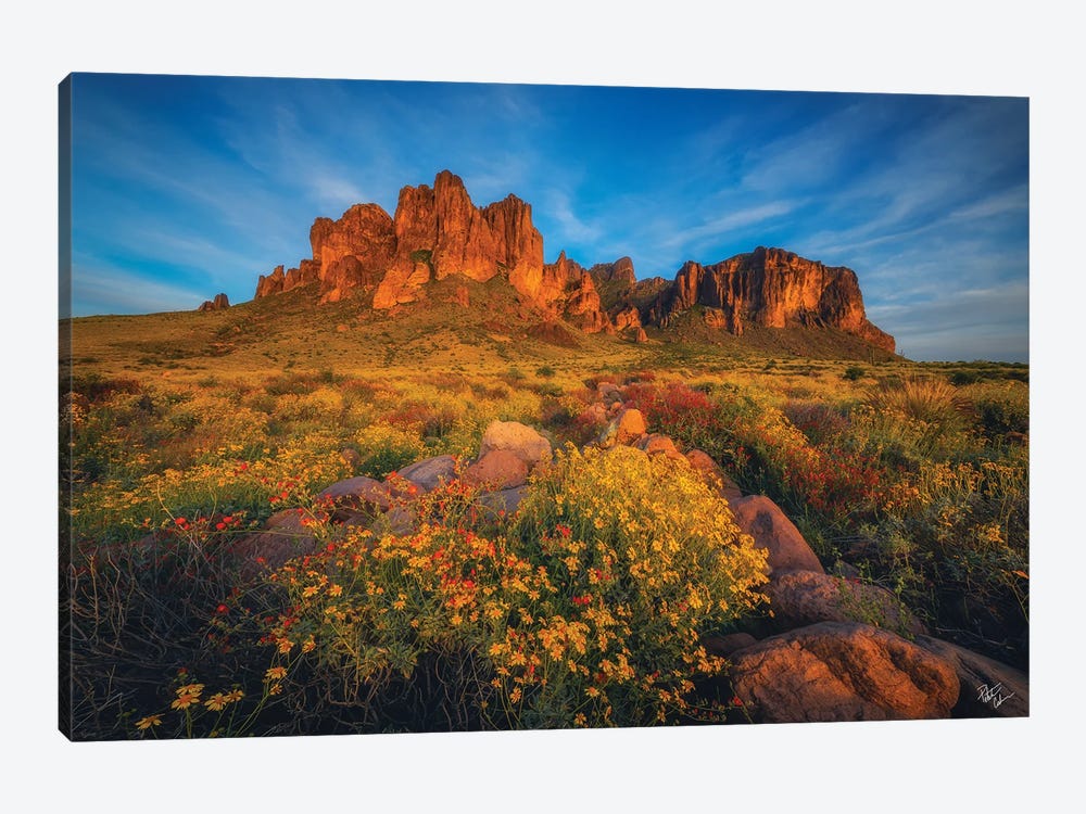 Gold Rush by Peter Coskun 1-piece Art Print