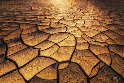 Goldie Blocks by Peter Coskun canvas print