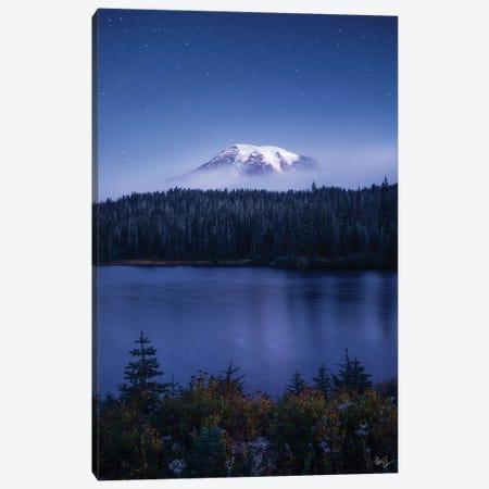 Twinkle Canvas Print #PCS5} by Peter Coskun Canvas Wall Art