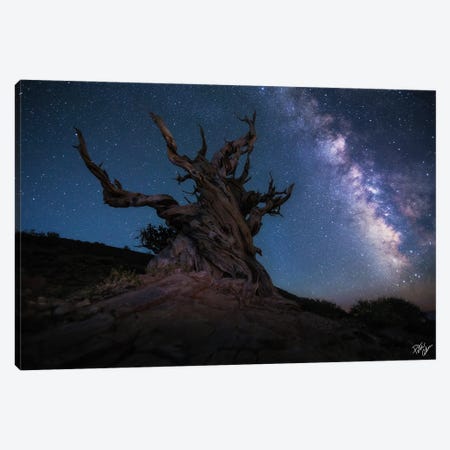 Guardian Of The Galaxy Canvas Print #PCS60} by Peter Coskun Canvas Artwork