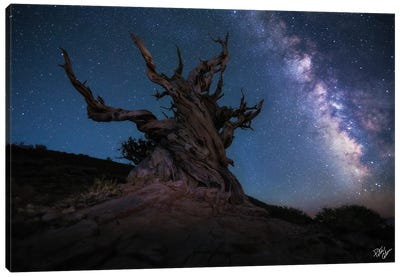 Guardian Of The Galaxy Canvas Art Print - Peter Coskun