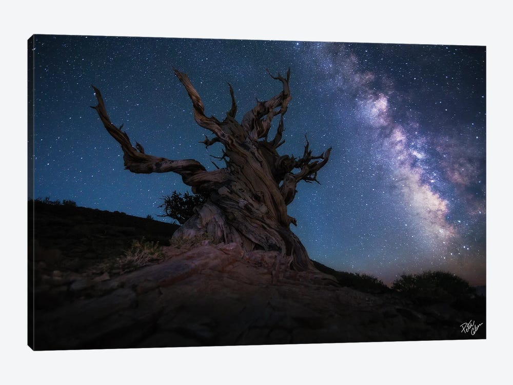 Guardian Of The Galaxy by Peter Coskun 1-piece Canvas Art Print