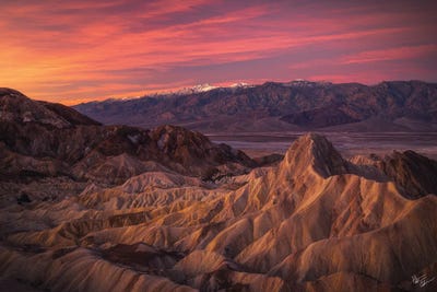 Ignite by Peter Coskun art print