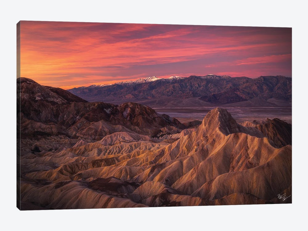 Ignite by Peter Coskun 1-piece Canvas Artwork