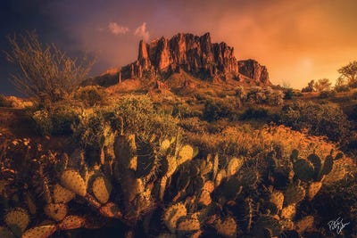 Peter Coskun