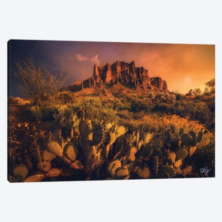 Let There Be Light Canvas Print #PCS62} by Peter Coskun Canvas Artwork