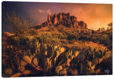 Let There Be Light Canvas Art Print - Desert Landscape Photography