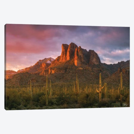 Light Of The New Year Canvas Print #PCS63} by Peter Coskun Canvas Wall Art