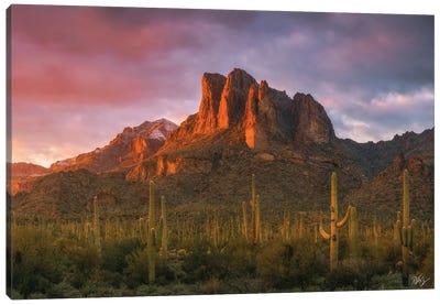Light Of The New Year Canvas Art Print - Peter Coskun