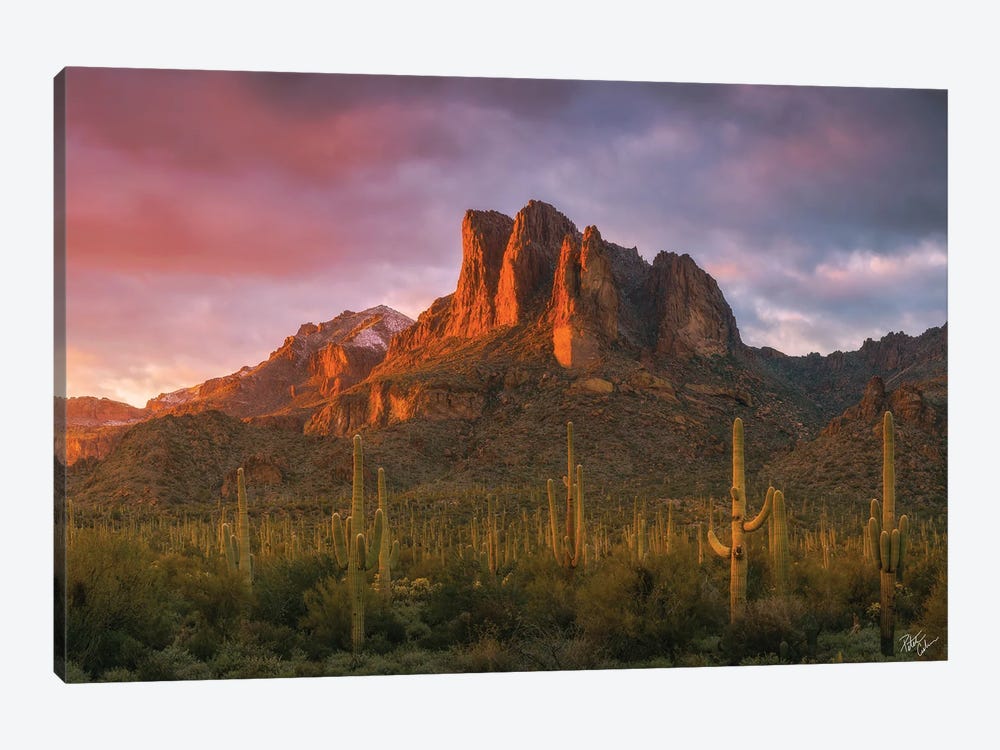 Light Of The New Year by Peter Coskun 1-piece Canvas Wall Art