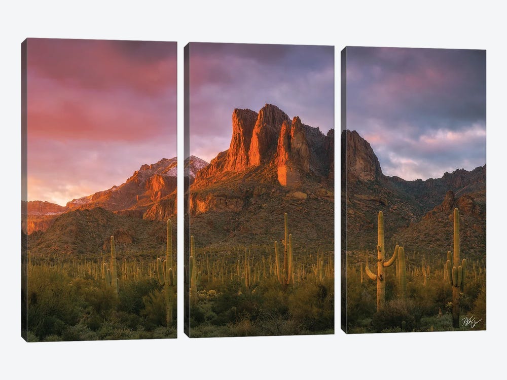 Light Of The New Year by Peter Coskun 3-piece Canvas Art