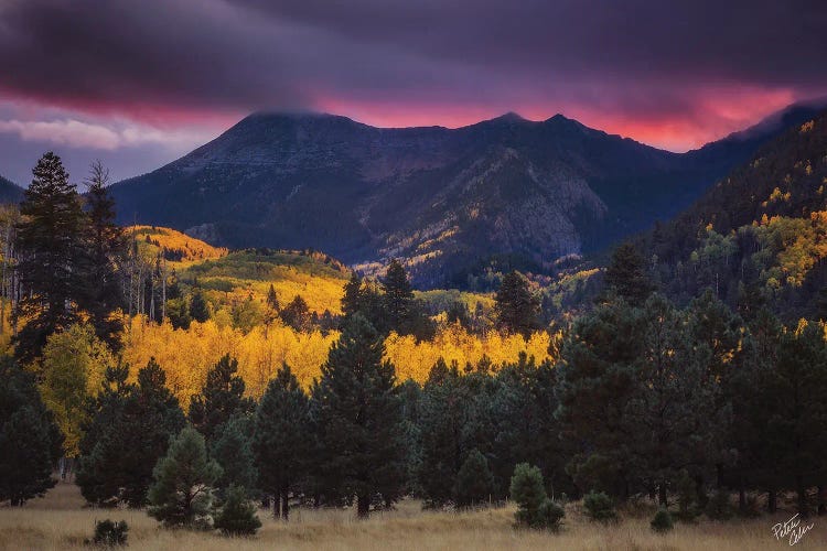 Lockett's Bliss by Peter Coskun wall art