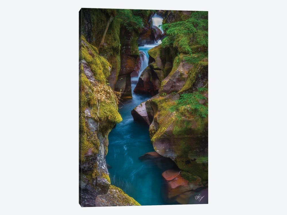 Lime And Teal by Peter Coskun 1-piece Canvas Wall Art