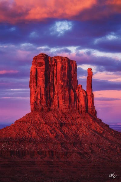 Mitten by Peter Coskun framed canvas print