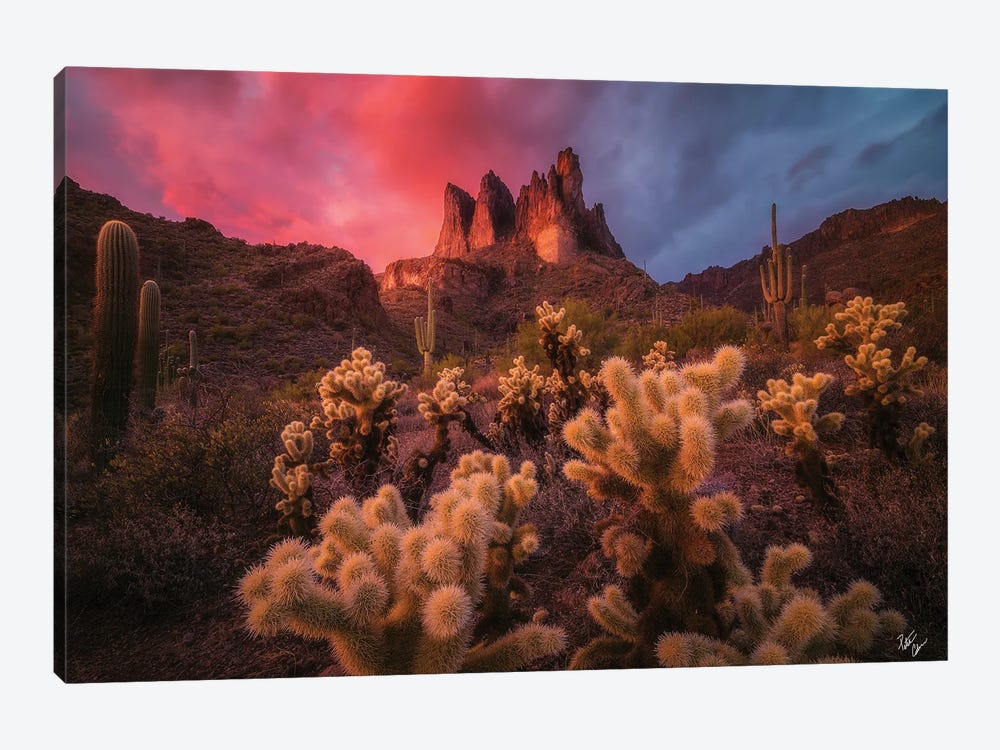 Afterburn by Peter Coskun 1-piece Canvas Artwork