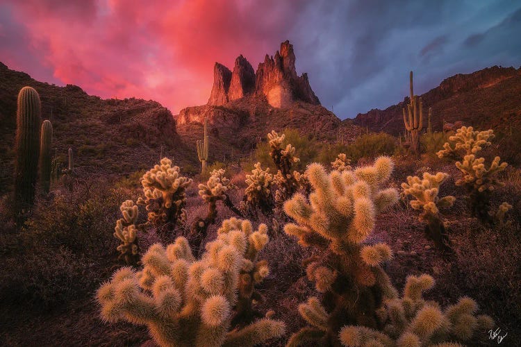 Afterburn by Peter Coskun wall art