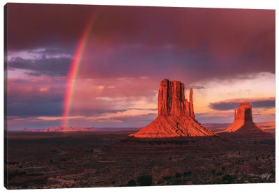 Monuments Bow Canvas Art Print - Peter Coskun