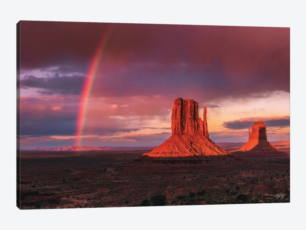Monuments Bow by Peter Coskun 1-piece Canvas Print