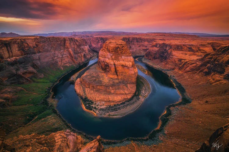 Morning Warning by Peter Coskun wall art