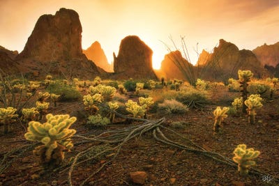 Mountain Minions by Peter Coskun art print