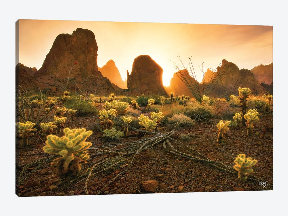 Mountain Minions by Peter Coskun 1-piece Canvas Print