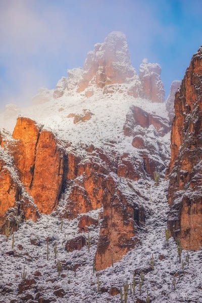 New Beginnings by Peter Coskun art print