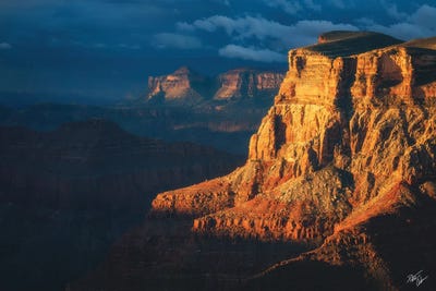 North Light by Peter Coskun canvas print