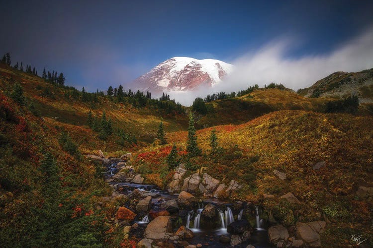 Passing Time by Peter Coskun wall art