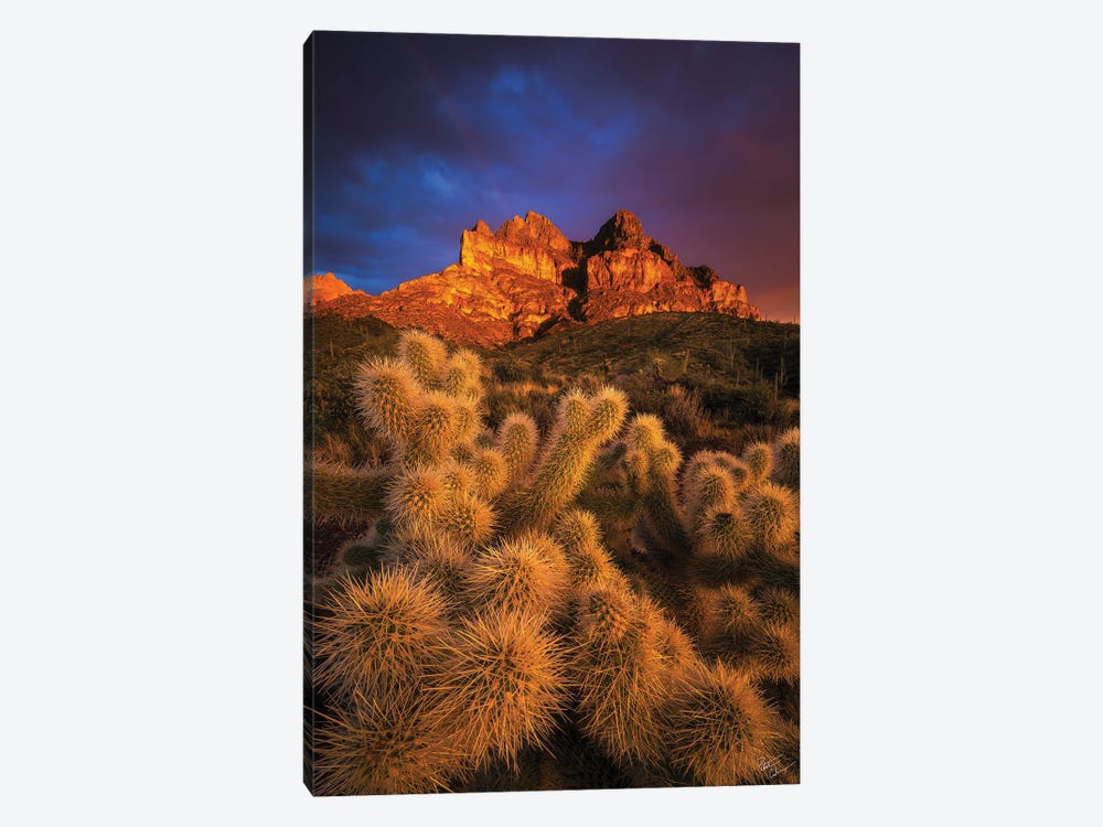 Pickets Gold by Peter Coskun 1-piece Canvas Print
