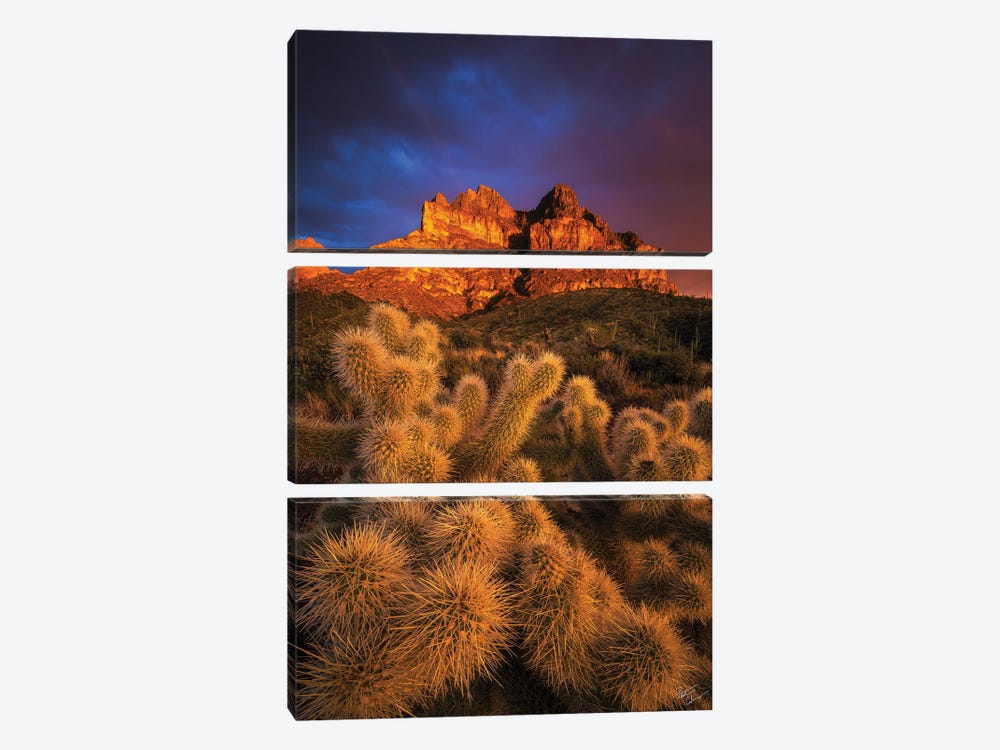 Pickets Gold by Peter Coskun 3-piece Canvas Print