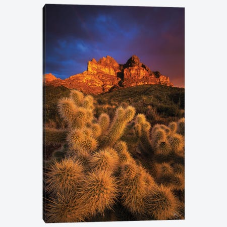 Pickets Gold Canvas Print #PCS84} by Peter Coskun Canvas Print