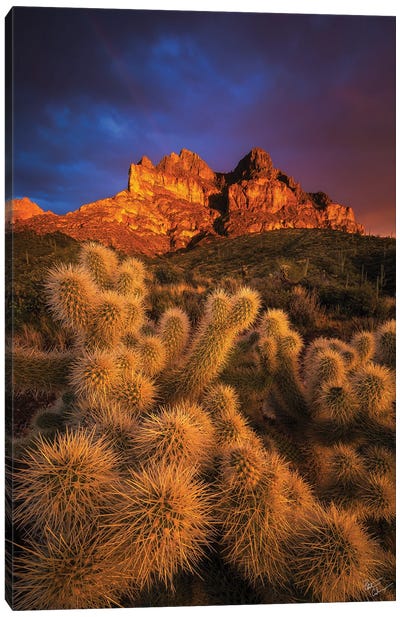 Pickets Gold Canvas Art Print - Peter Coskun
