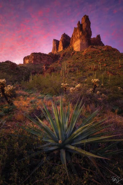 Pins And Needles by Peter Coskun art print