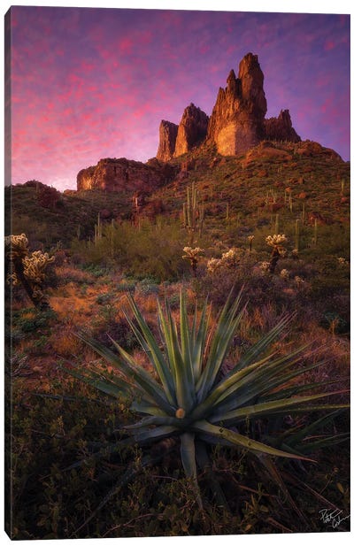 Pins And Needles Canvas Art Print - Peter Coskun