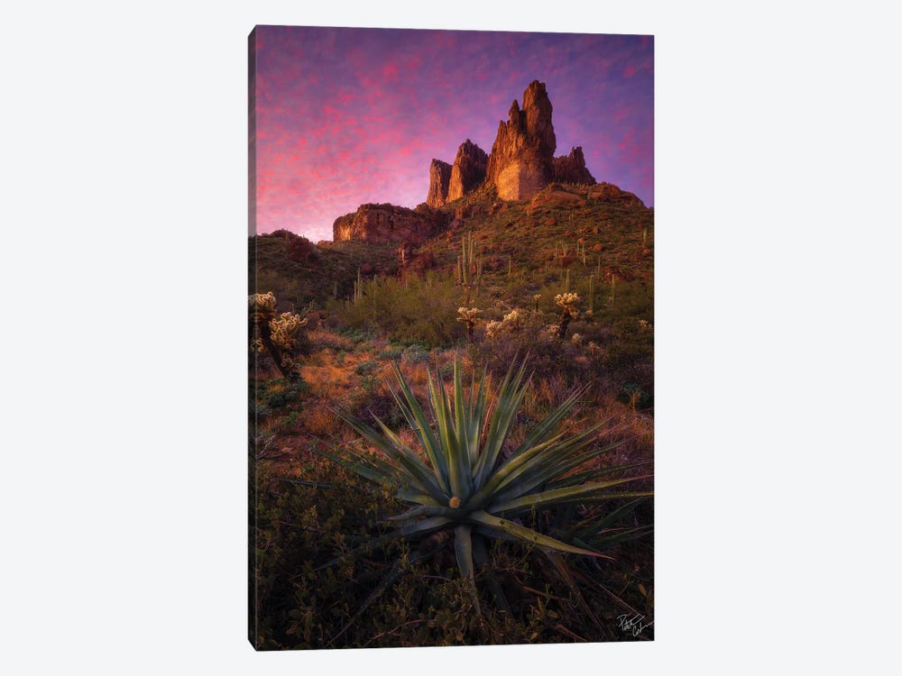 Pins And Needles by Peter Coskun 1-piece Canvas Artwork