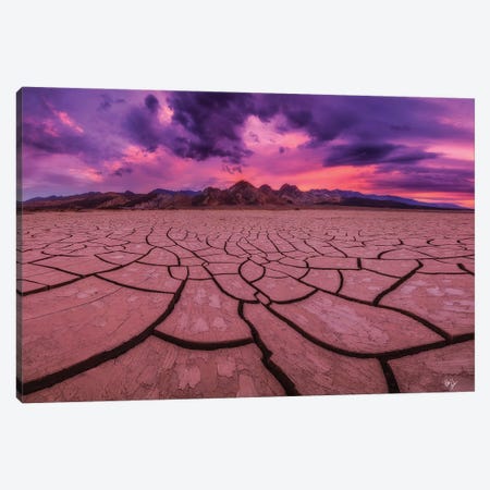 Puzzled Pink Canvas Print #PCS87} by Peter Coskun Canvas Print