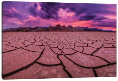 Puzzled Pink Canvas Art Print - Peter Coskun