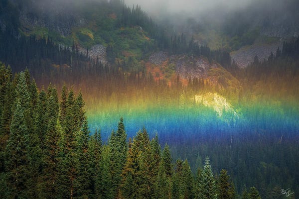 Rainbows: Rainier Rainbow by Peter Coskun