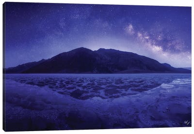 Another World Canvas Art Print - Peter Coskun